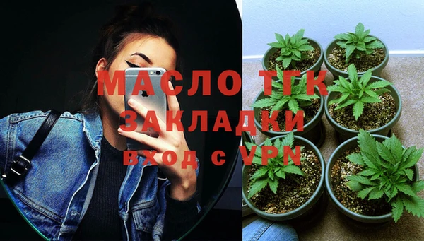 сатива Арсеньев