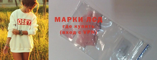сатива Арсеньев